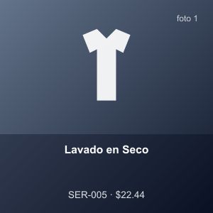 Lavado en Seco